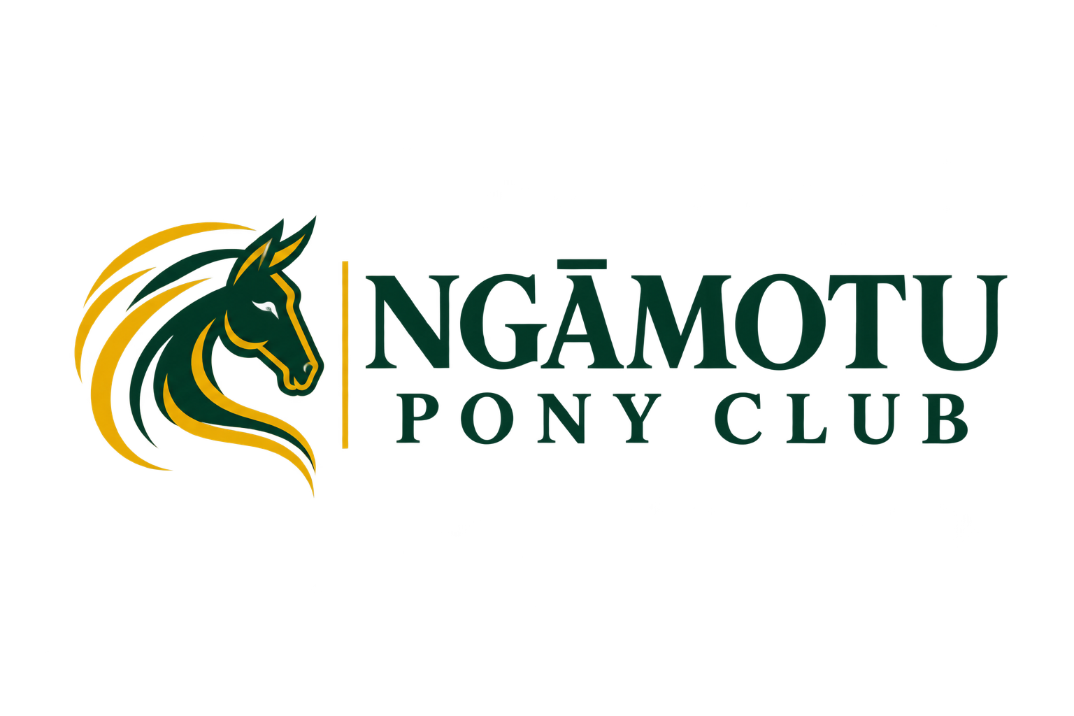 Ngāmotu Pony Club